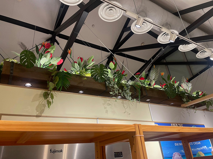 フェイクグリーン事例レストラン
