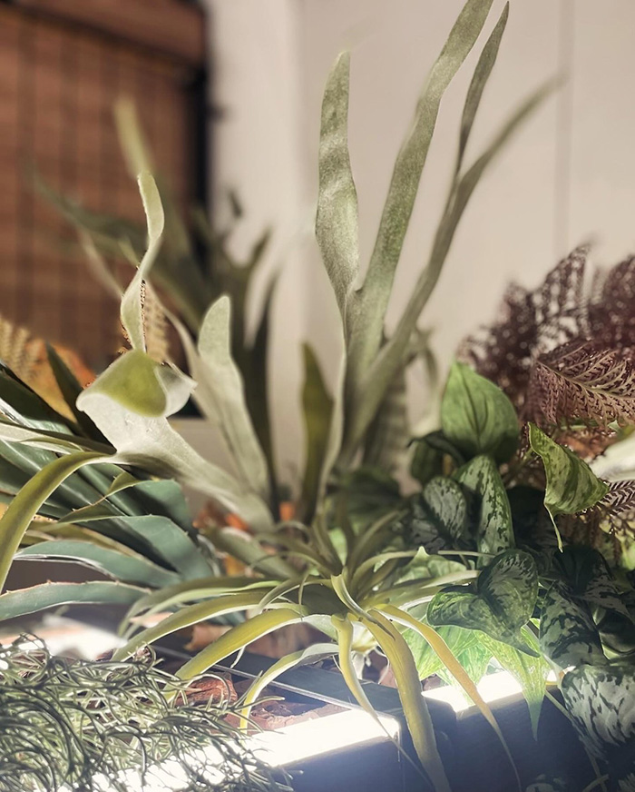 フェイクグリーン事例レストラン